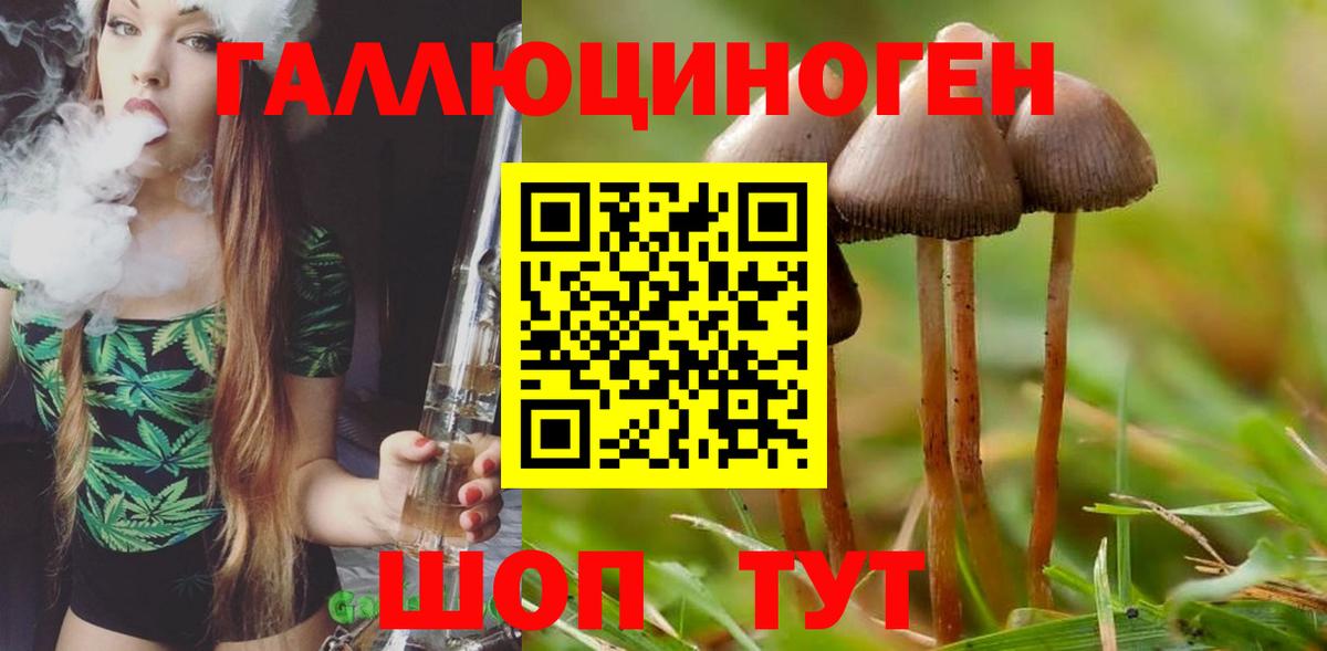 Семёнов  Псилоцибиновые грибы прущие грибы  Псилоцибиновые грибы мухоморы  даркнет сайт  Вход с VPN 